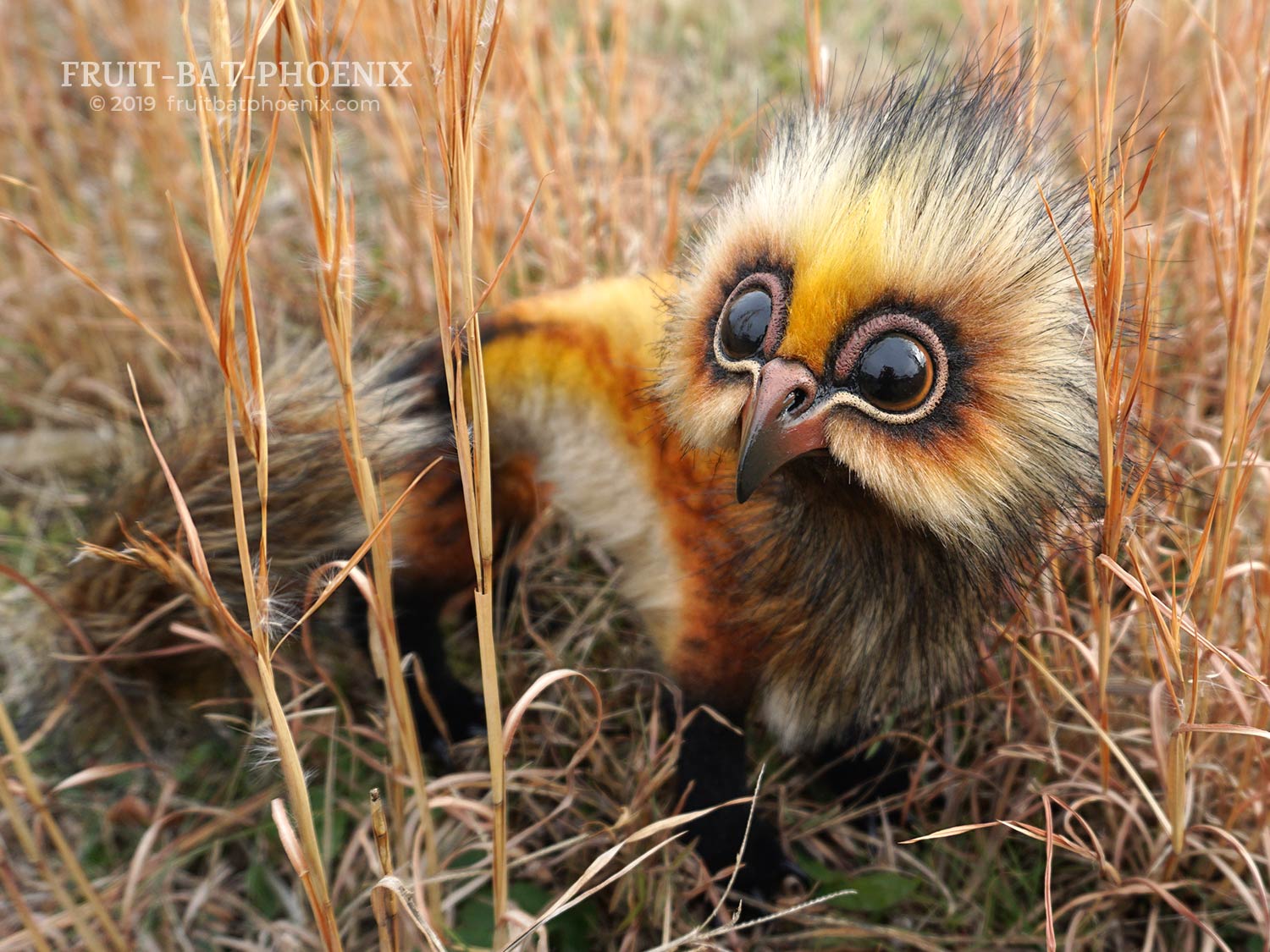 Ferrowl, a posable fantasy creature art doll, peers out from behind tall dry grass