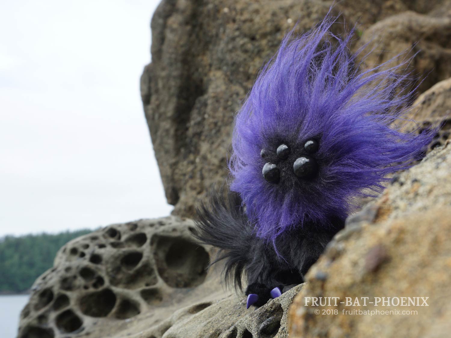 ultraviolet mmpoff seen over a rock