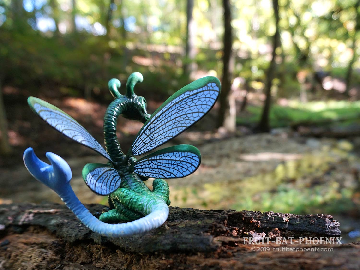 lake-damselfly-dragon back view in forest
