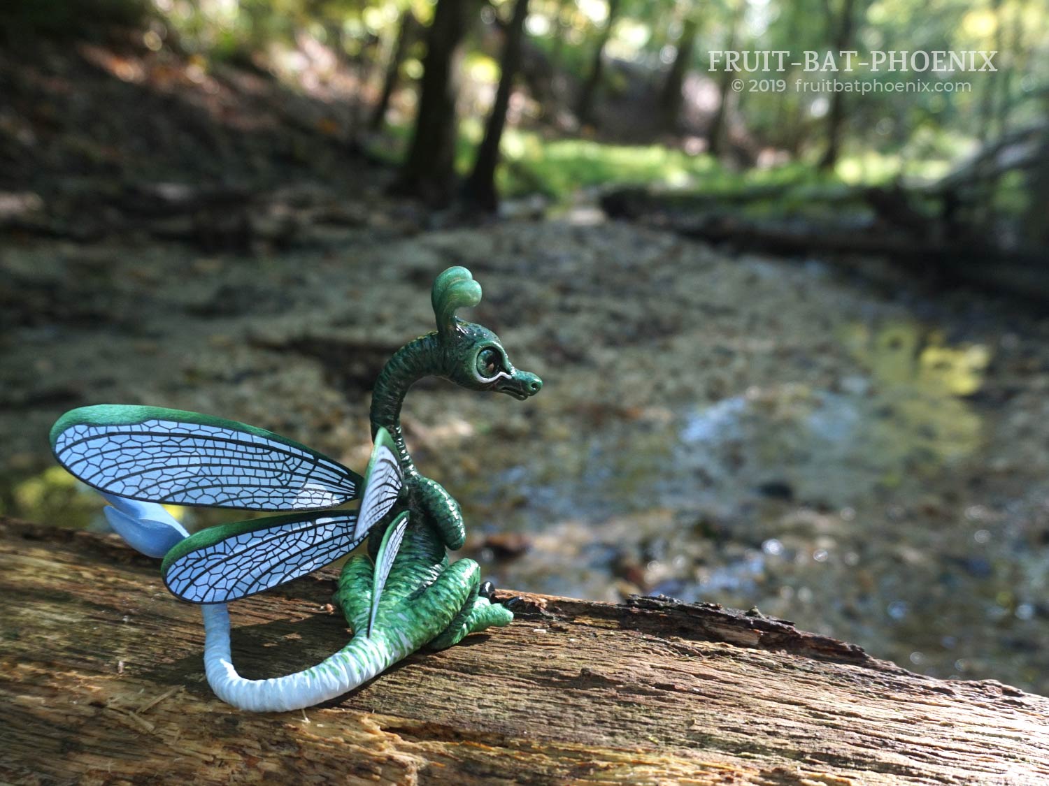 lake-damselfly-dragon in forest with water
